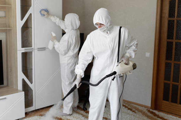 24/7 Emergency Odor Removal experts in Brandamore, PA